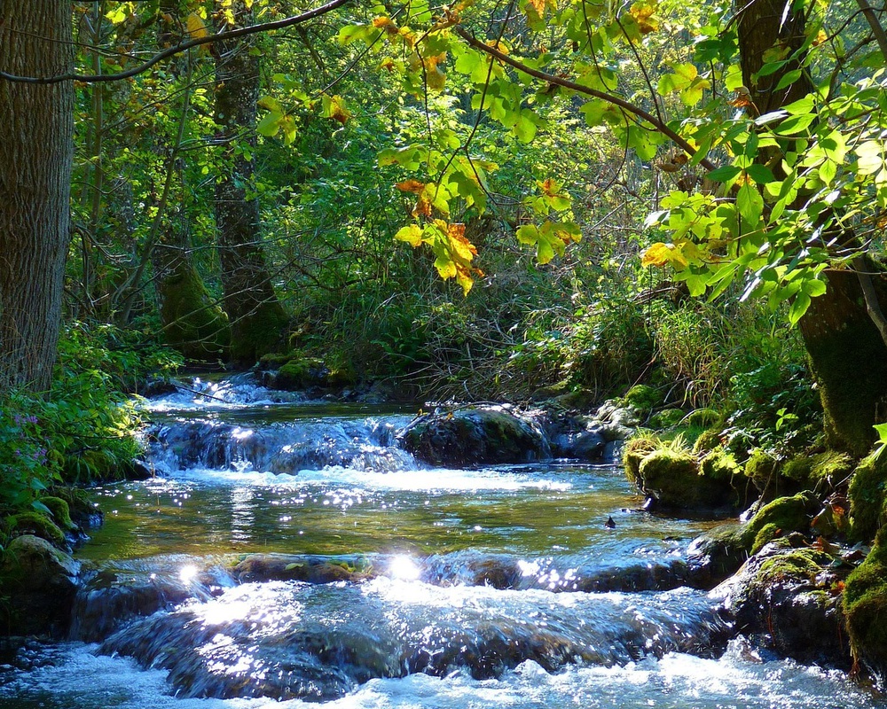 Märchen für Erwachsene