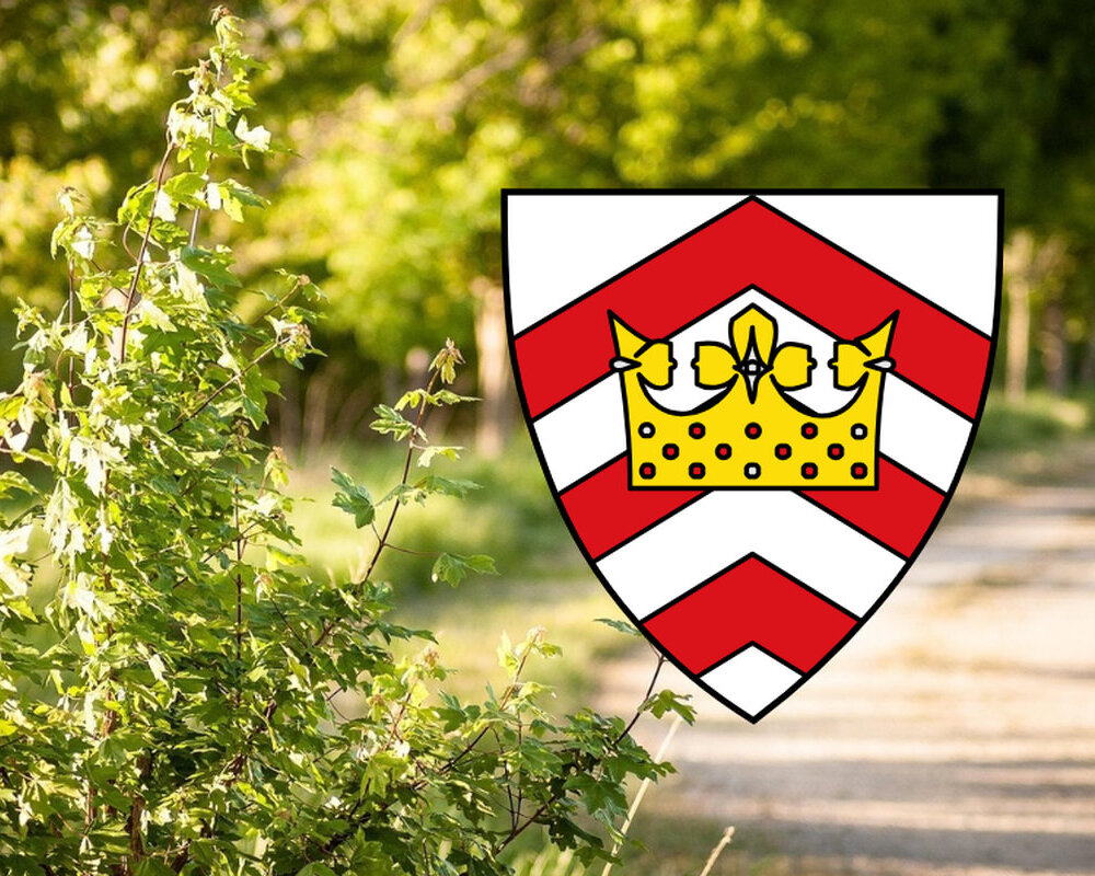 Zukunft des Bauens in Dornberg